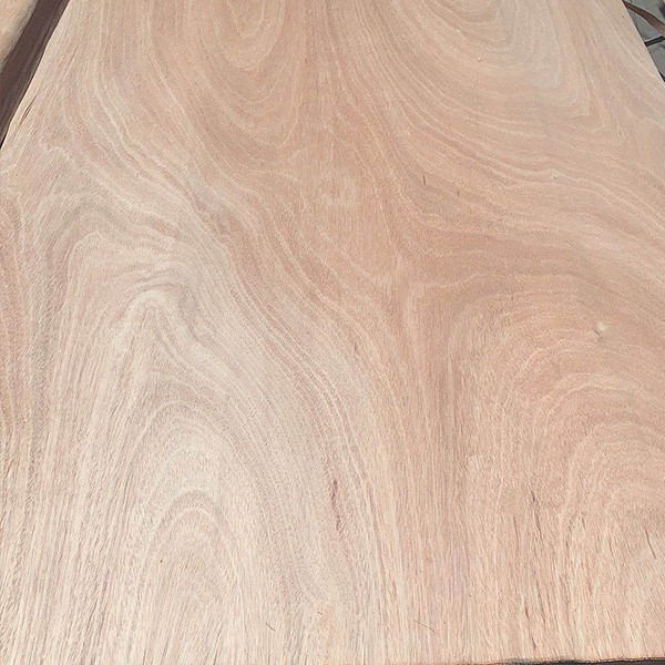 Chapa Madera natural