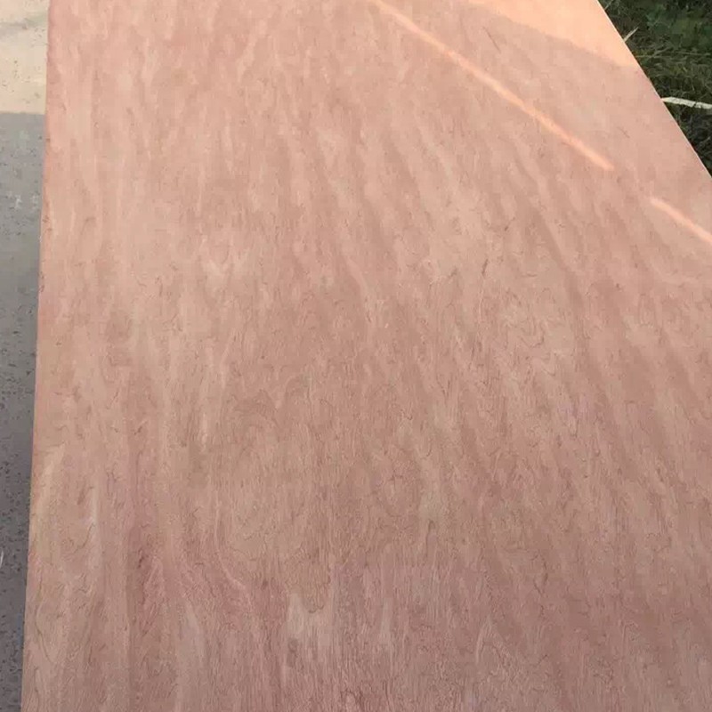 Madera contrachapada de Bintangor CALOPHYLLUM SPP